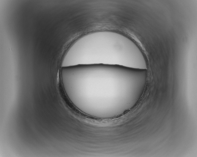 X0000113580019200909181029