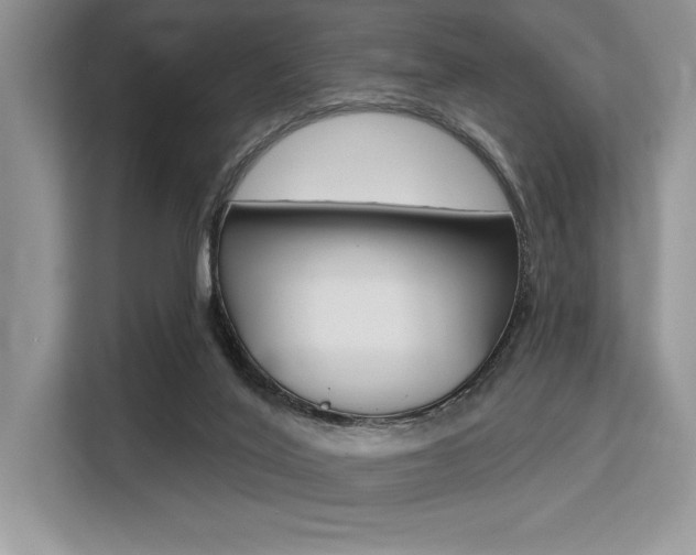 X0000113580020200909181029
