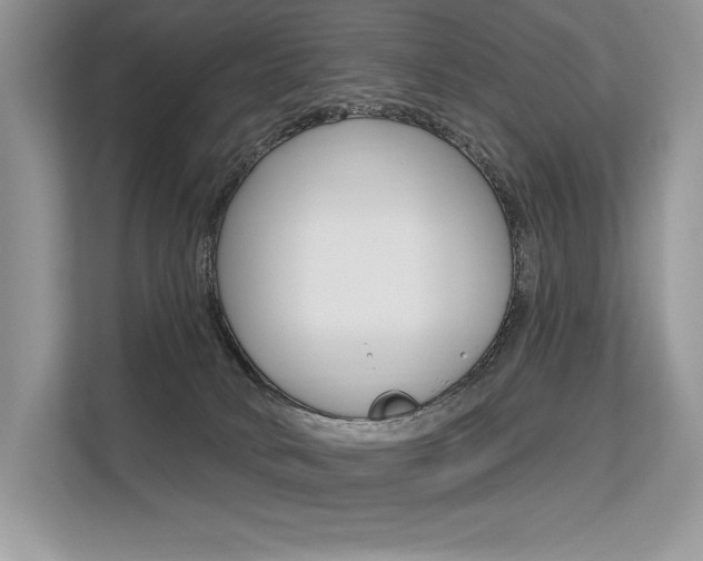 X0000113580034200909181028