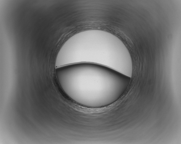 X0000113580035200909181028