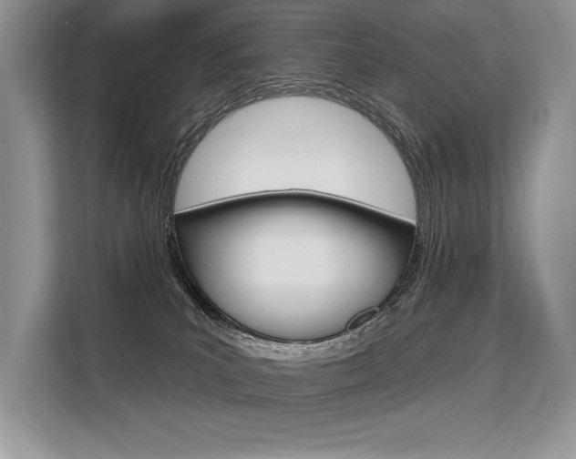X0000113580039200909181028