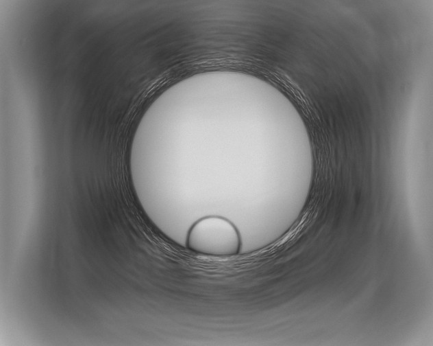 X0000113580045200909181028