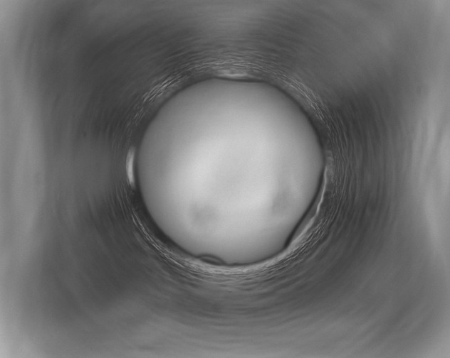 X0000113580047200909181028