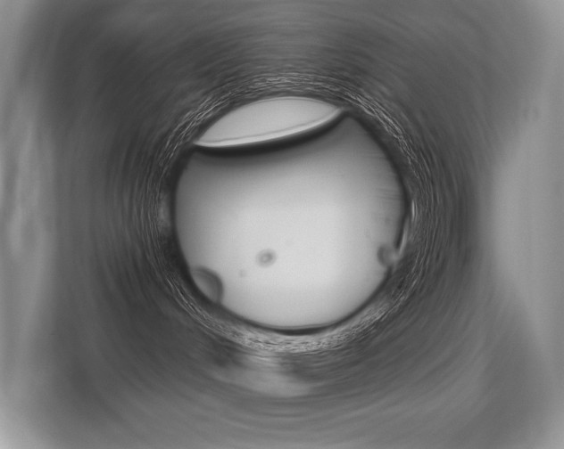 X0000113580048200909181028