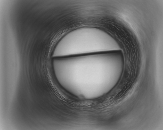 X0000113580049200909181028