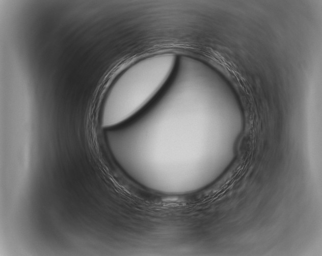 X0000113580050200909181028