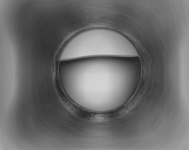 X0000113580064200909181028