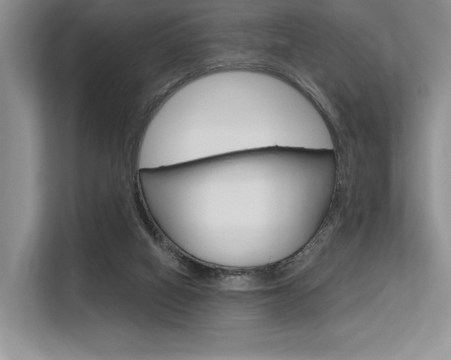 X0000113580066200909181028