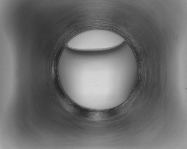 X0000113580074200909181028