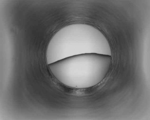 X0000113580078200909181028