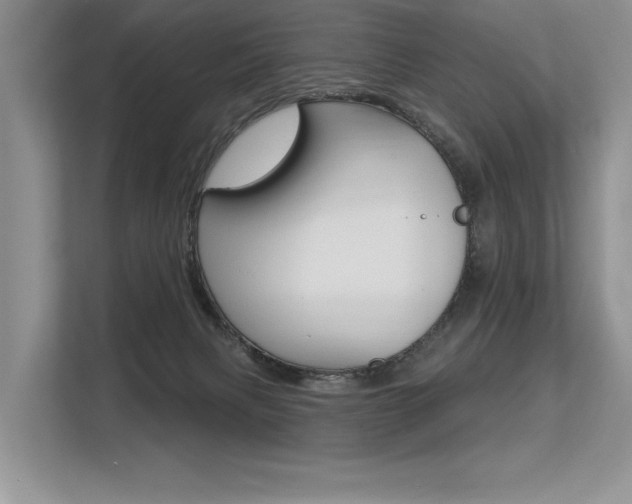 X0000113580079200909181028