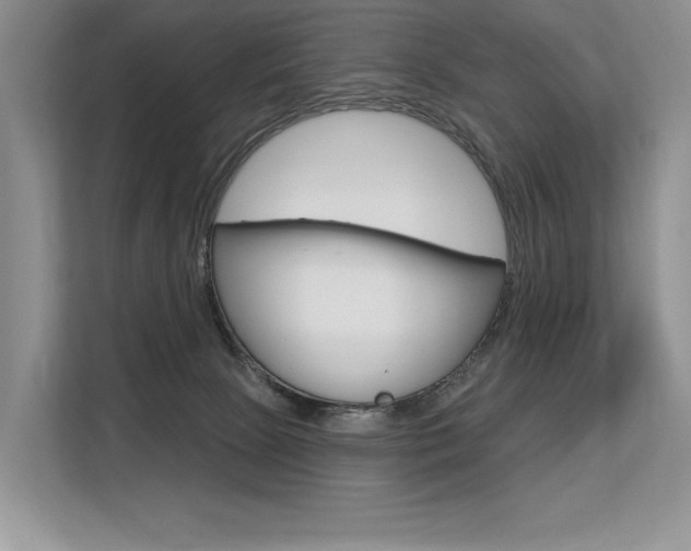 X0000113580081200909181028