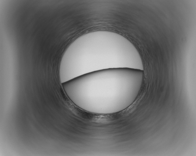 X0000113580082200909181028