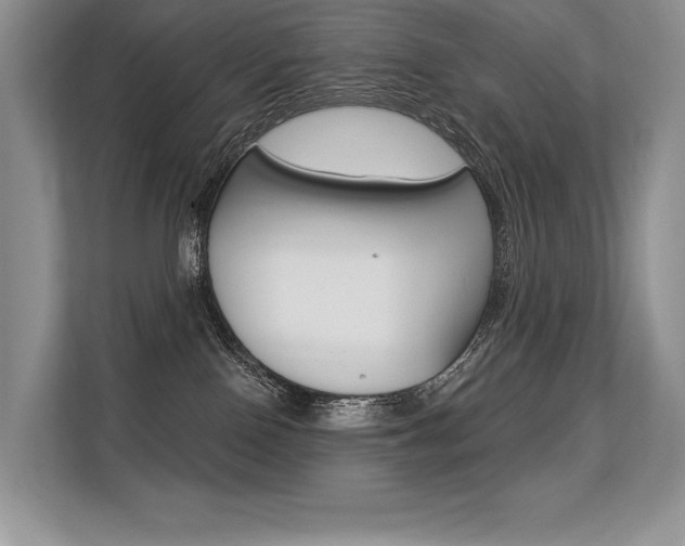 X0000113580090200909181028
