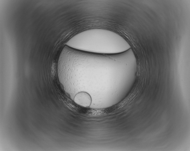 X0000113580093200909181028