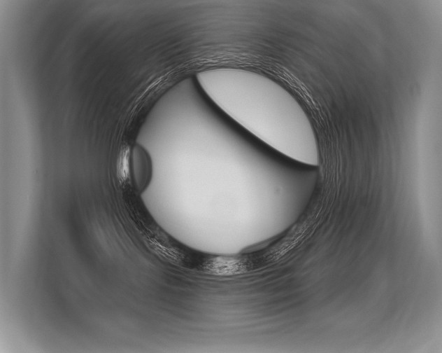 X0000113580095200909181028