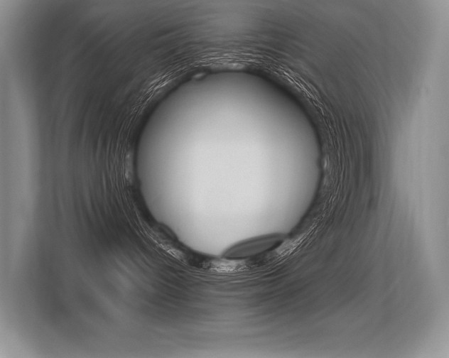 X0000113580096200909181028