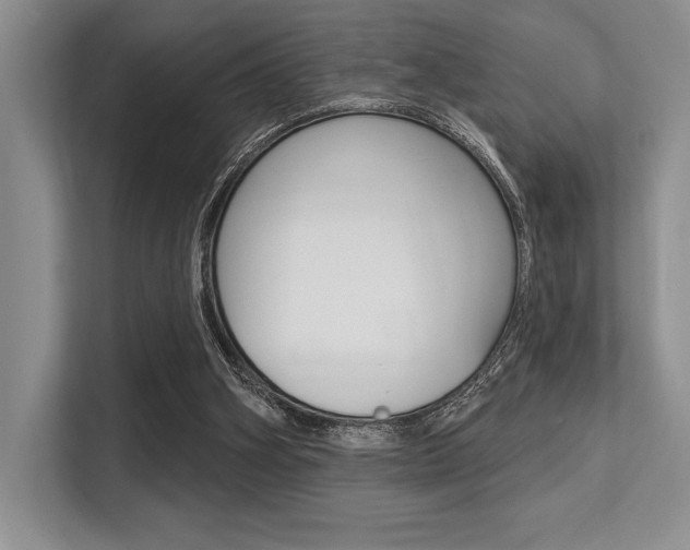 X0000113580106200909181027