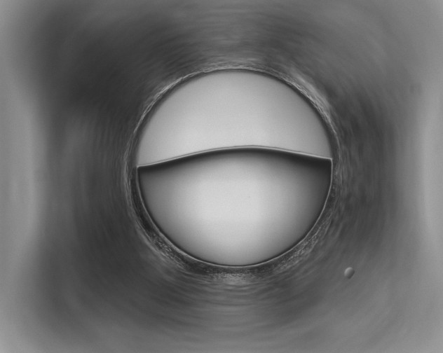 X0000113580107200909181027