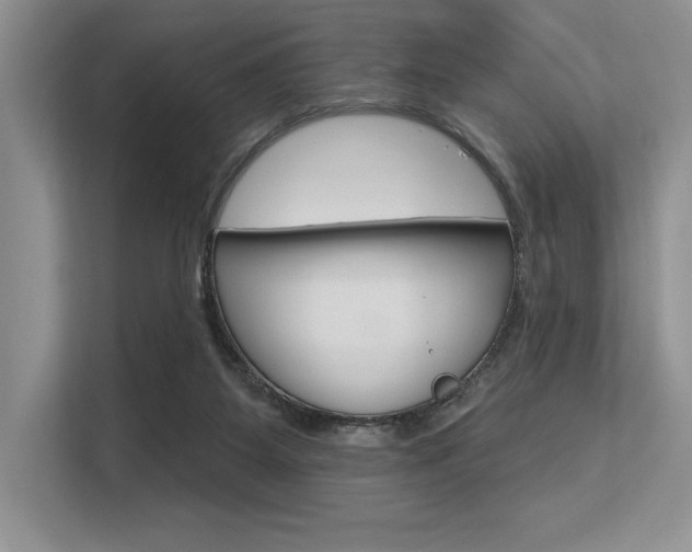 X0000113580115200909181027