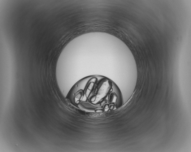 X0000113580136200909181027