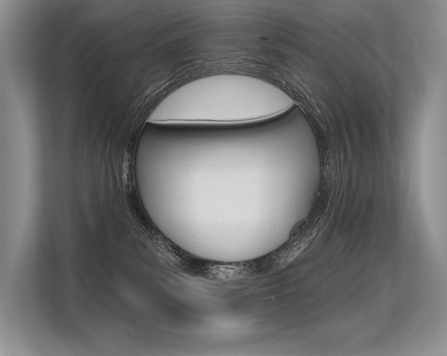 X0000113580139200909181027