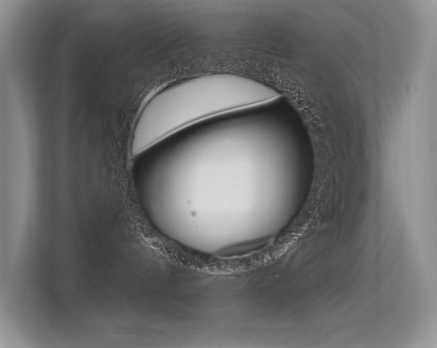 X0000113580144200909181027