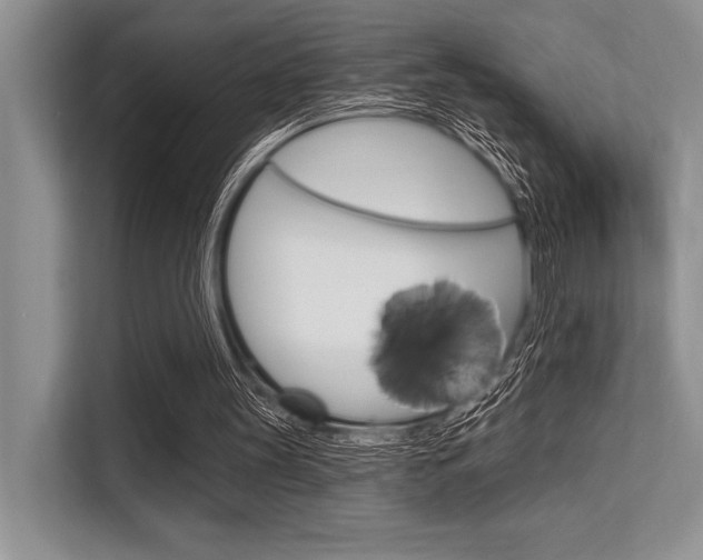 X0000113580147200909181026