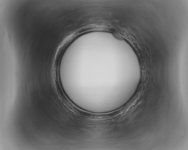X0000113580149200909181026