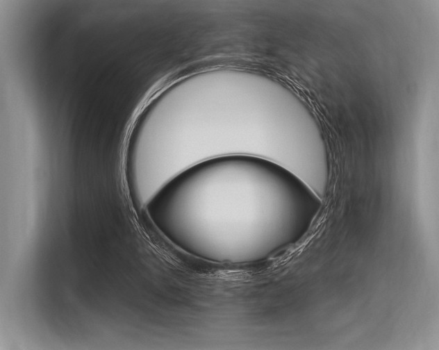 X0000113580150200909181026