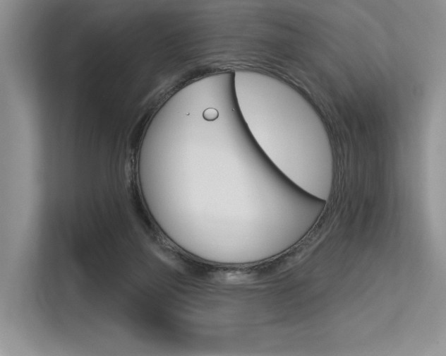 X0000113580165200909181027