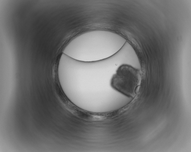 X0000113580167200909181027