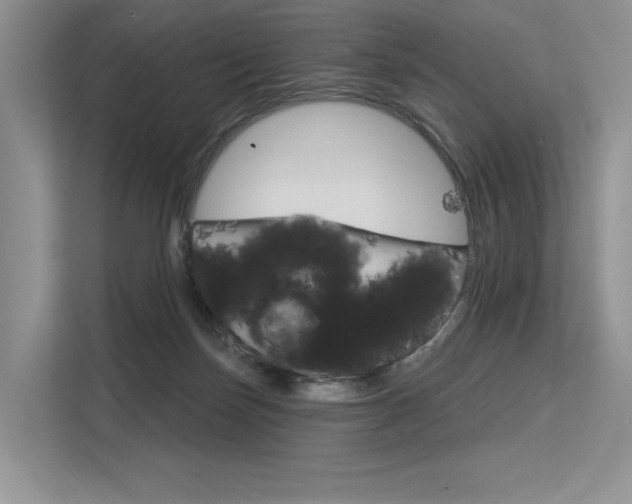 X0000113580171200909181027
