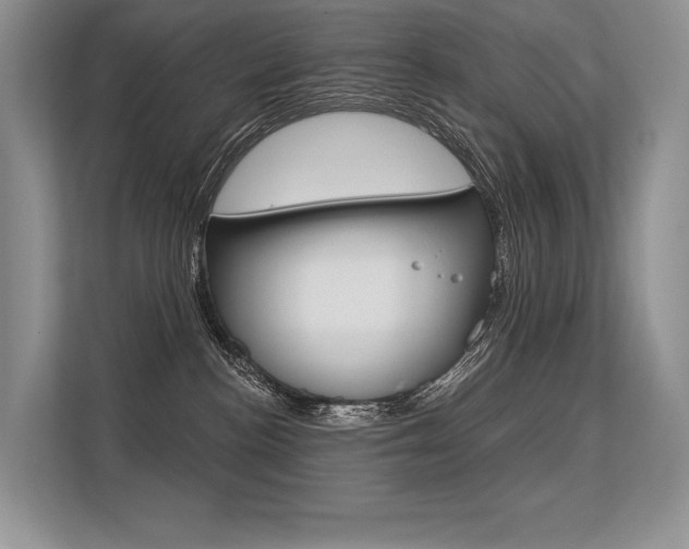 X0000113580188200909181027