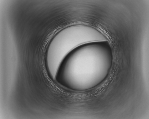 X0000113580193200909181026