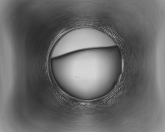 X0000113580195200909181026