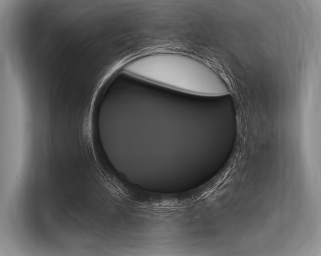 X0000113580196200909181026