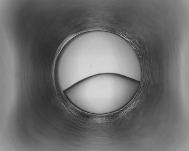 X0000113580200200909181026