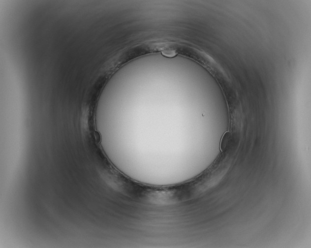 X0000113580217200909181026