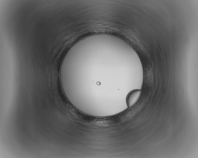 X0000113580228200909181026