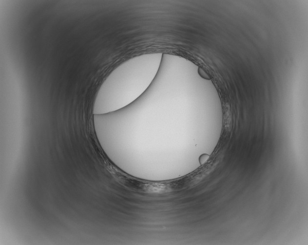X0000113580230200909181026