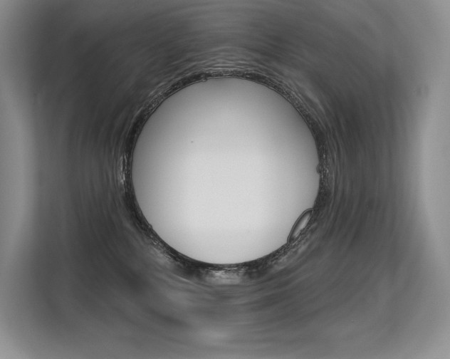 X0000113580232200909181026