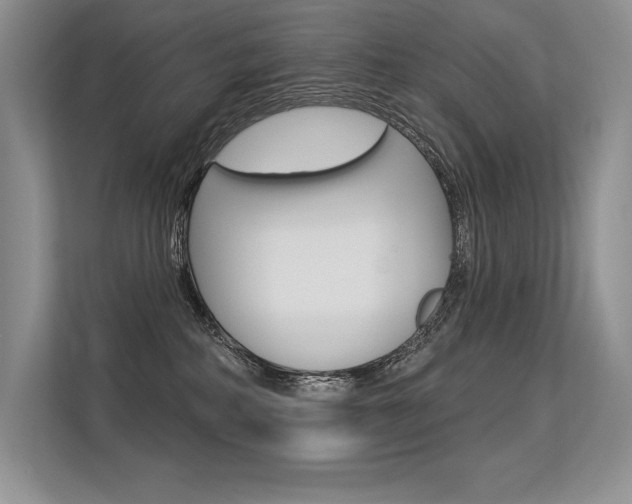 X0000113580234200909181026