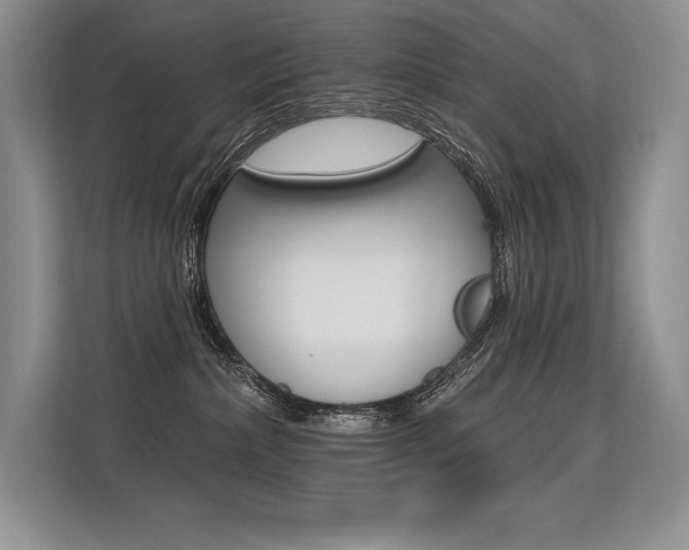 X0000113580236200909181026
