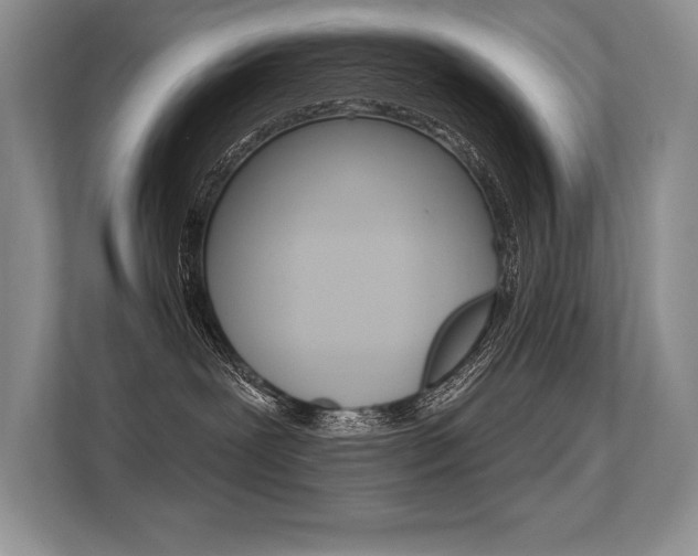 X0000113580239200909181026
