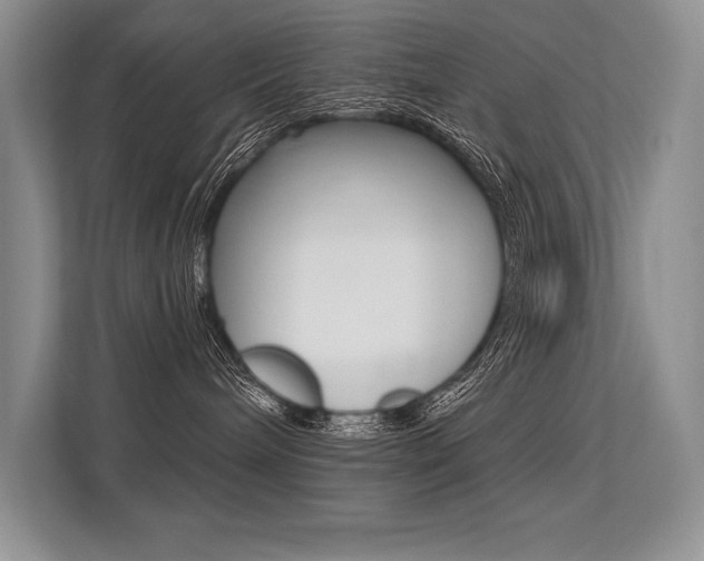 X0000113580240200909181026