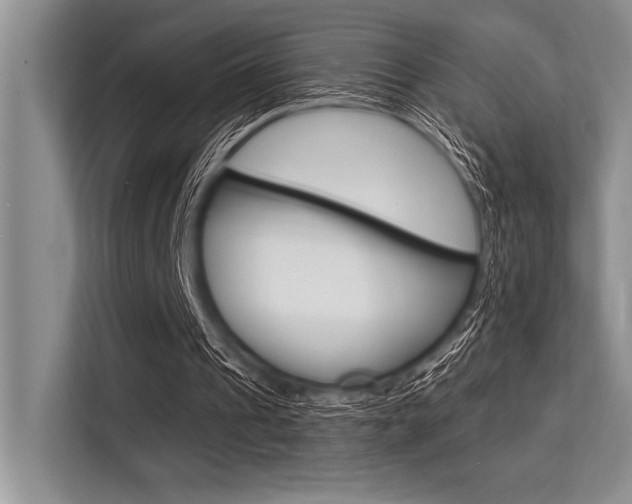 X0000113580241200909181025