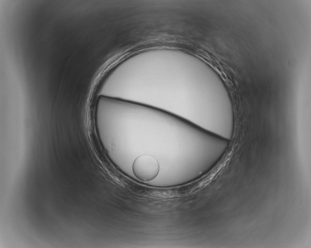 X0000113580245200909181025