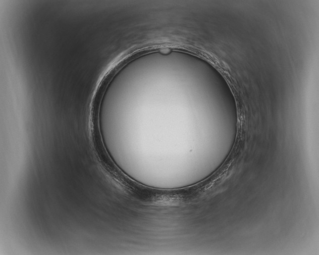 X0000113580248200909181025
