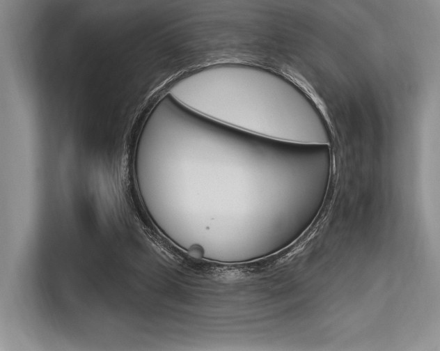 X0000113580249200909181025